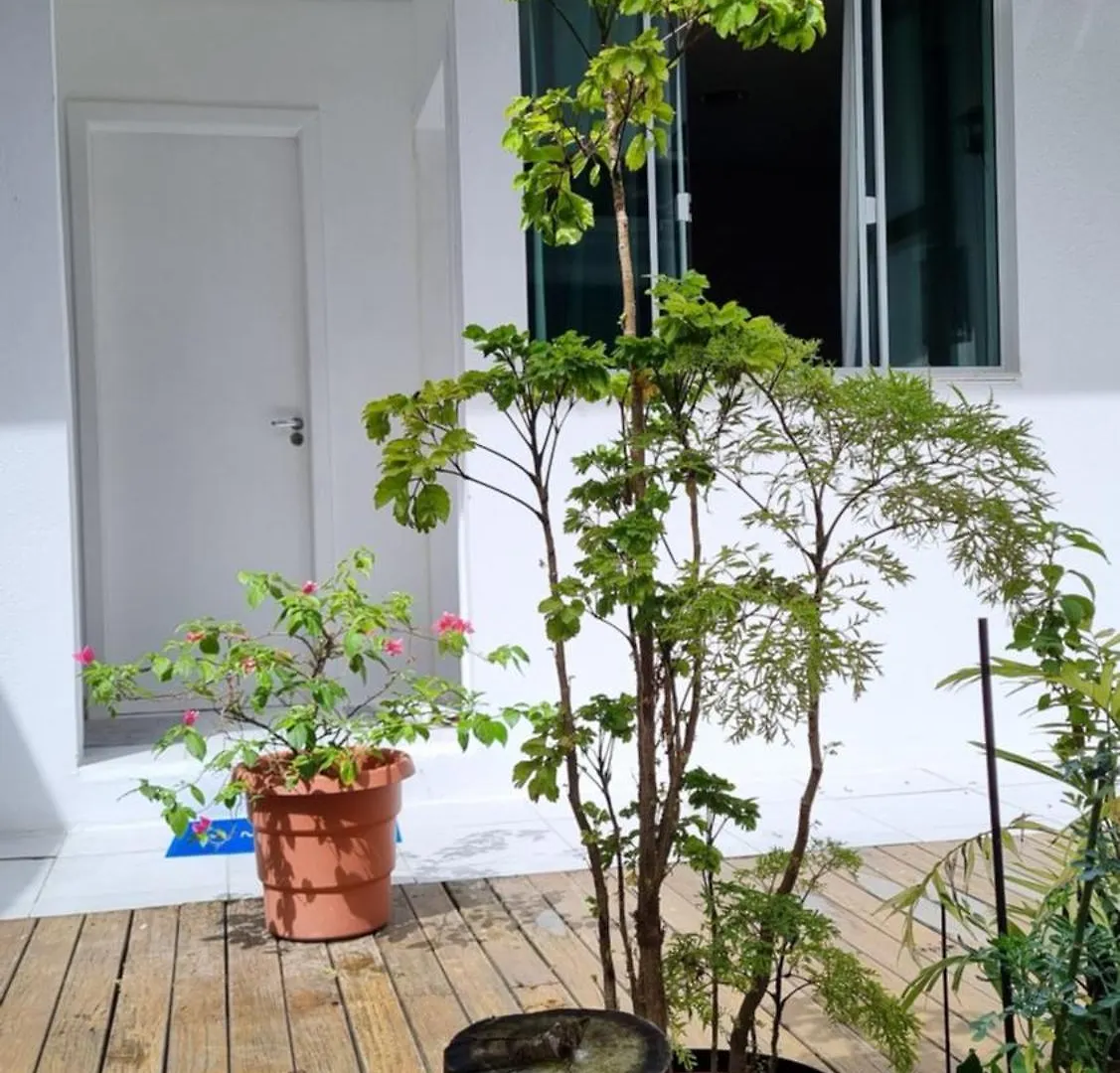 בית אירוח דירות Florianópolis Coliving Stela Mares